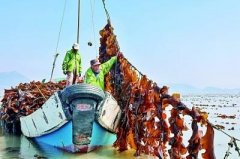 <b>头条_石狮市融核心</b>